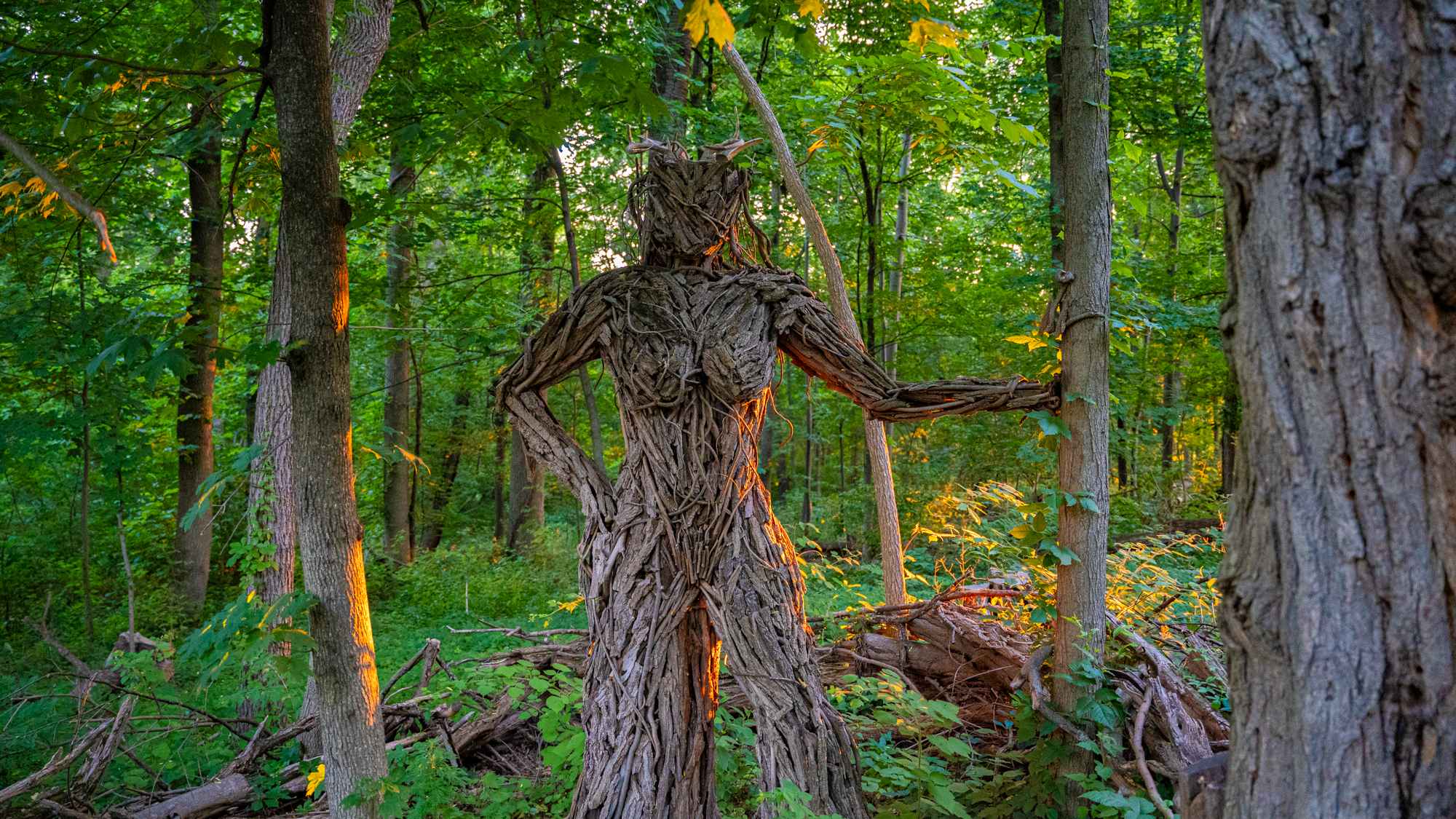 Minerva on the Wisdom Trail