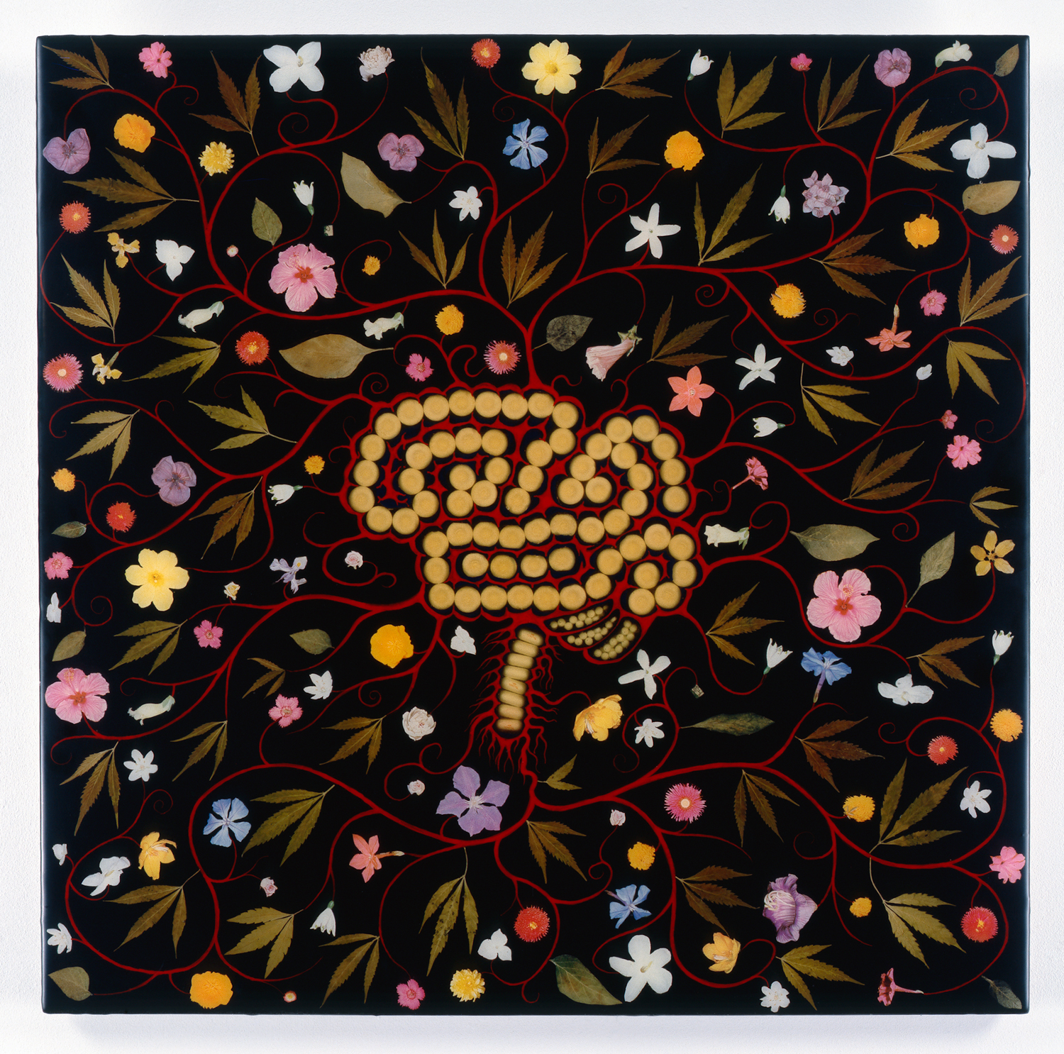 Fred	Tomaselli, Brain with Flowers, 1990-1997, leaves, pills, photo collage, blotter acid, acrylic and resin on wood panel, 24 x 24 in.