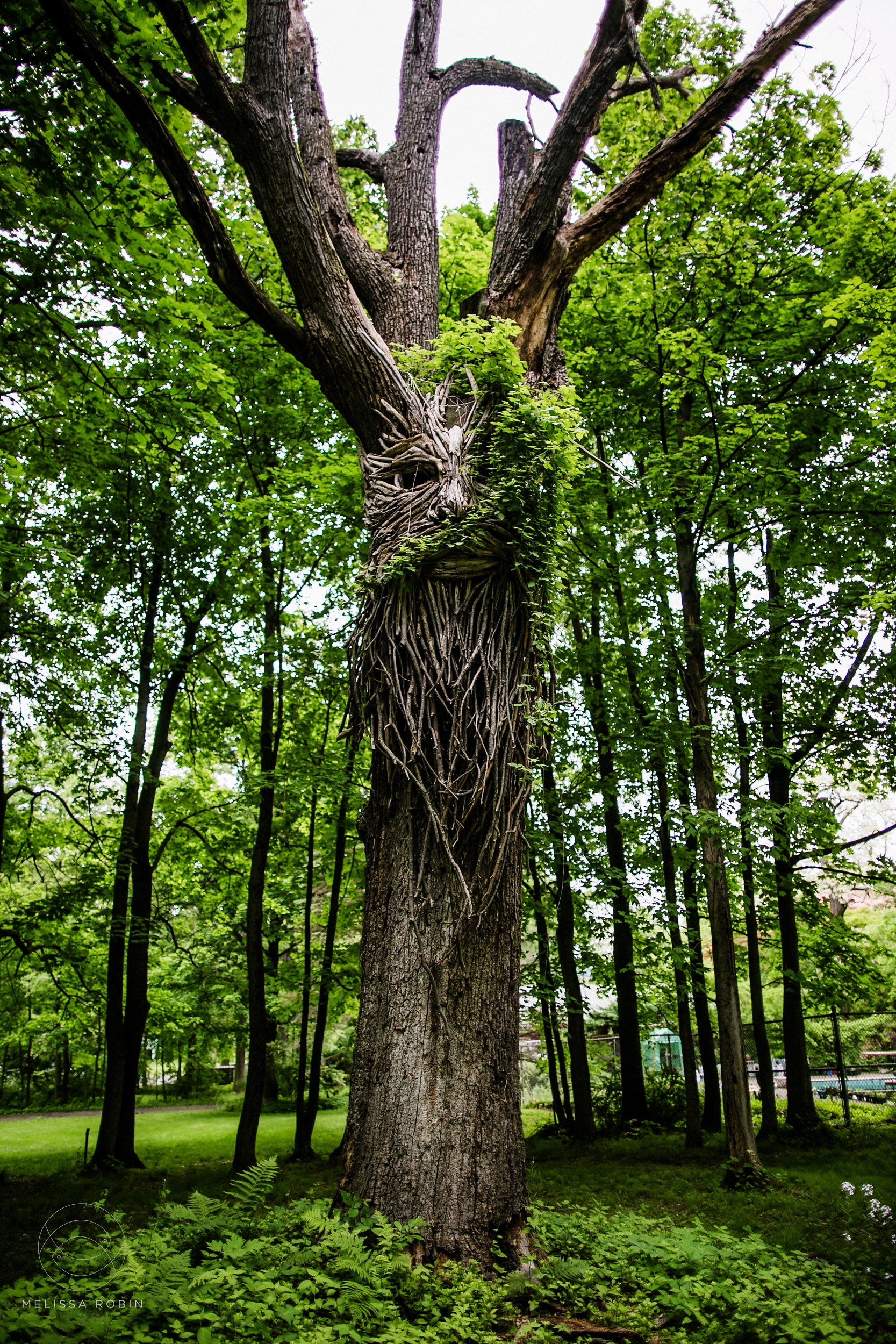 Green Man by Hoodie Salinas