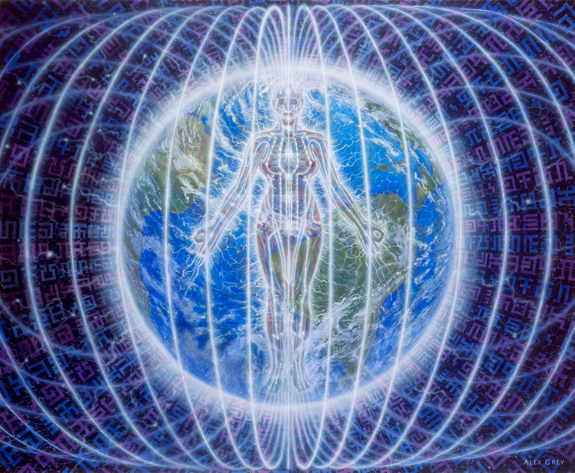 person/planet alex grey & allyson grey