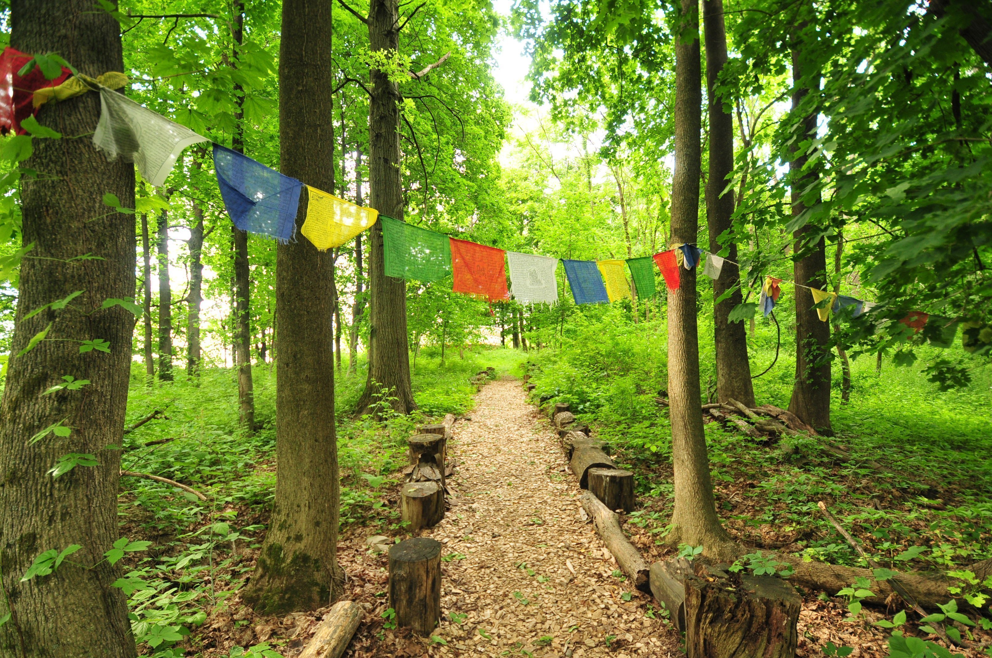 Wisdom Trail at CoSM